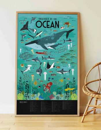 Poster en stickers - oceans