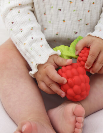 Jouet de dentition - Valery the Raspberry