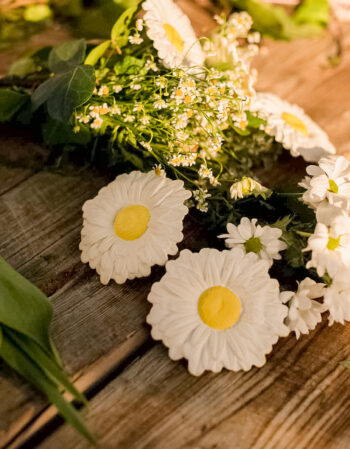 Jouet de dentition - Margarita the Daisy