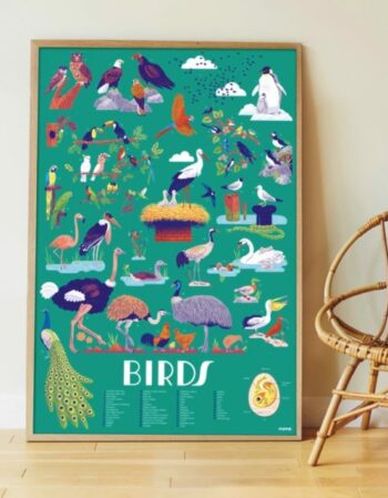 Poster en stickers - oiseaux