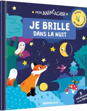 livre - anim'agier je brille dans la nuit