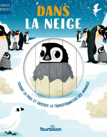 Livre - dans la neige